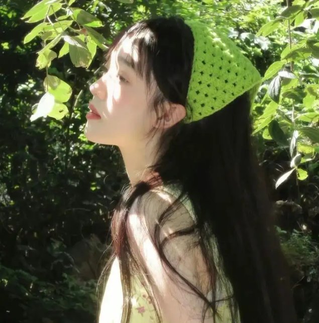 大寻宝家