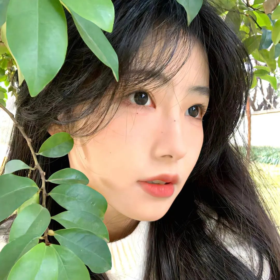 鸿运当头